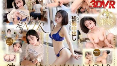 3DSVR-1528 -   여자친구한테 너무 미안해요.   - - 같이 이사한 지 일주일 됐어요.   - - 언니가 찾아왔어요.   - - 나도 모르게 그녀 안에 정액을 싸게 됐어요.