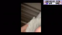 꽐라여친으로 돈벌려는 쓰레기남친