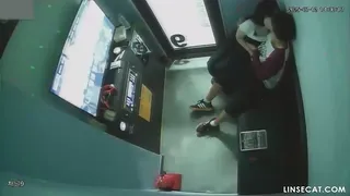 자지를 조물딱 거리는 나쁜 손모가지