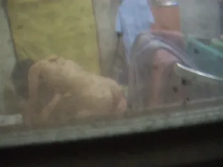 옆집에서 일어나는 일들 3
