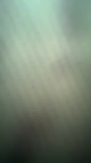 반응 좋은 여자친구는 재미난 장난감이죠