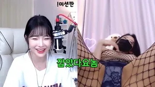 잡았다 요놈 비제이 하피