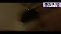 오빠 오늘 집에 아무도안와
