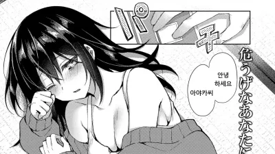 노래의 불빛