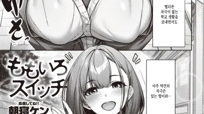 복숭아 스위치