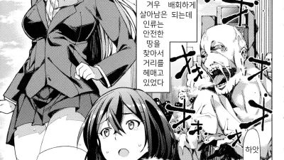 안전치대