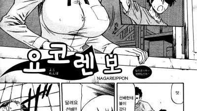 요코렌보