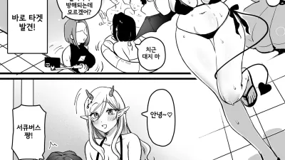 서큐버스 쨩 나이트 풀에 가다