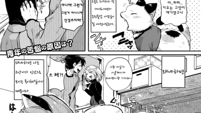 고양이는 발정기