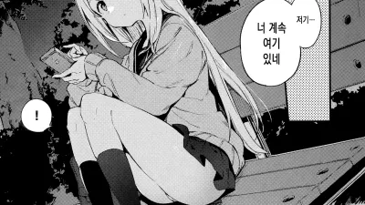 비밀 + 토라노아나 한정 리플릿 2