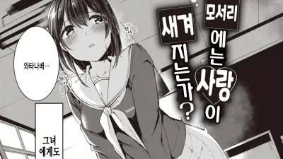 모서리에는 사랑이 새겨지는가?