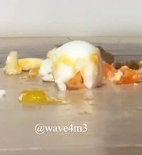 24-12-28 흐음 올릴까 말까 고밍하다가 걍 올려요내가 싼 계란 내가 먹기 @wave4m2