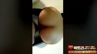 트위터 커플모임 들